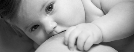 image bébé allaité
